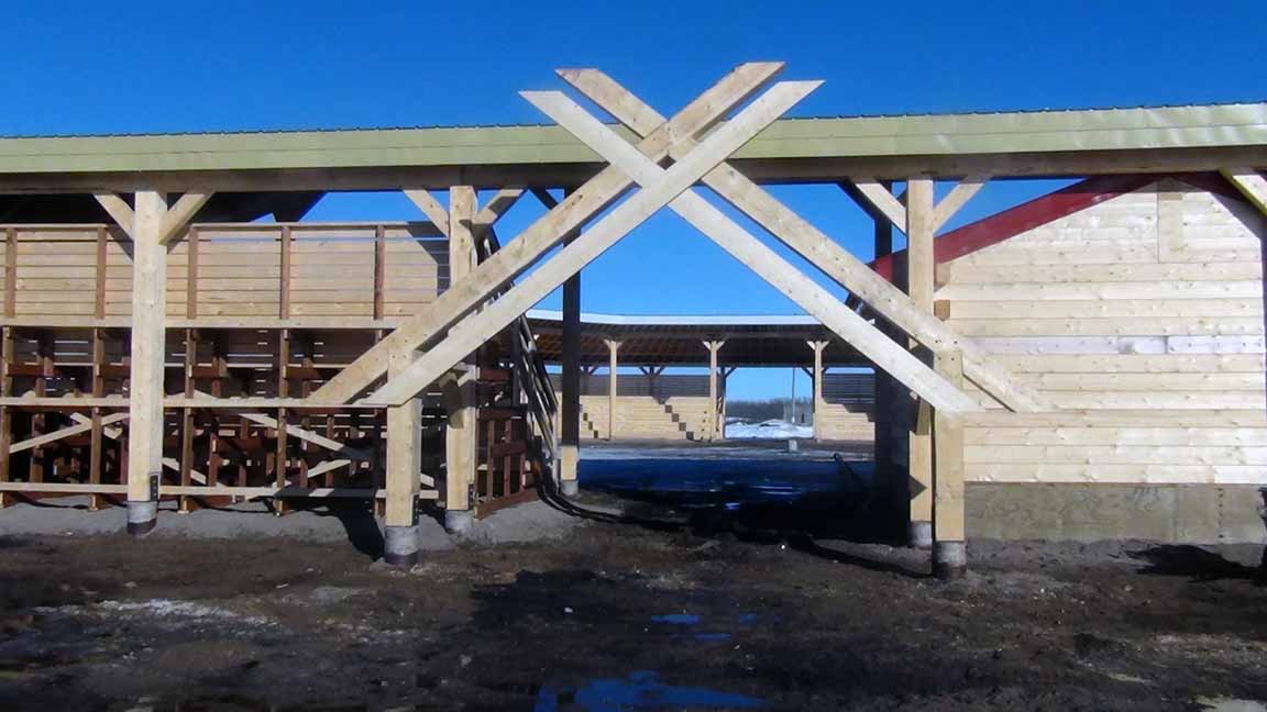 Ochapowace Pow Wow Arbour 2017 « Ochapowace Nation